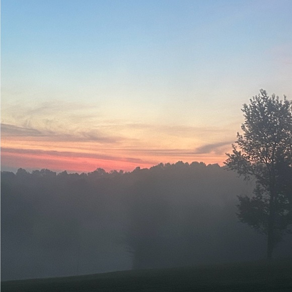 Meet your Posher, Cynthia - Picture 12 of 12